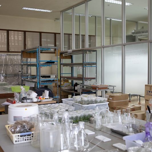 Plant physiology and Plant tissue culture Lab