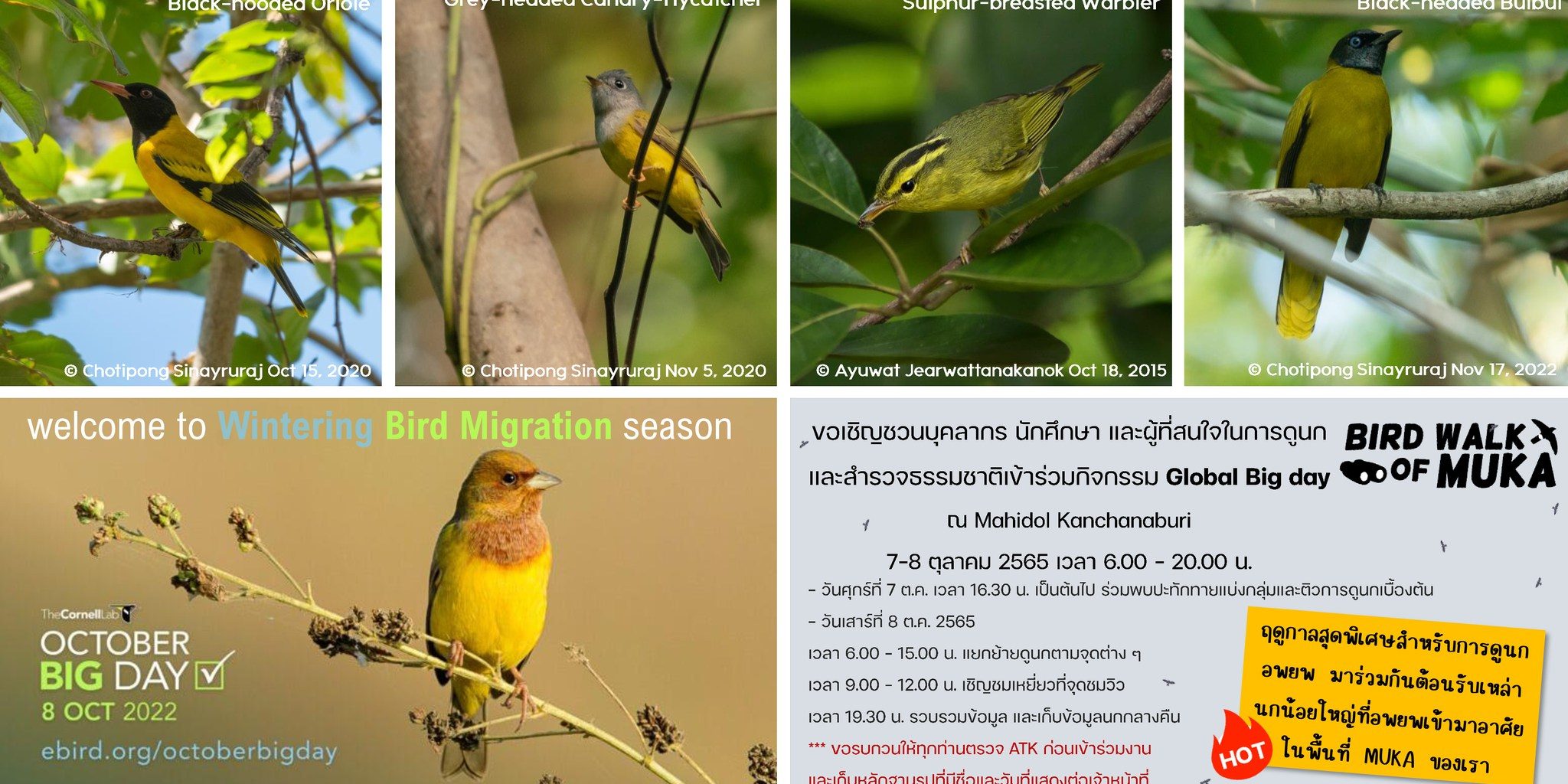 globalbigday-2022-at-muka